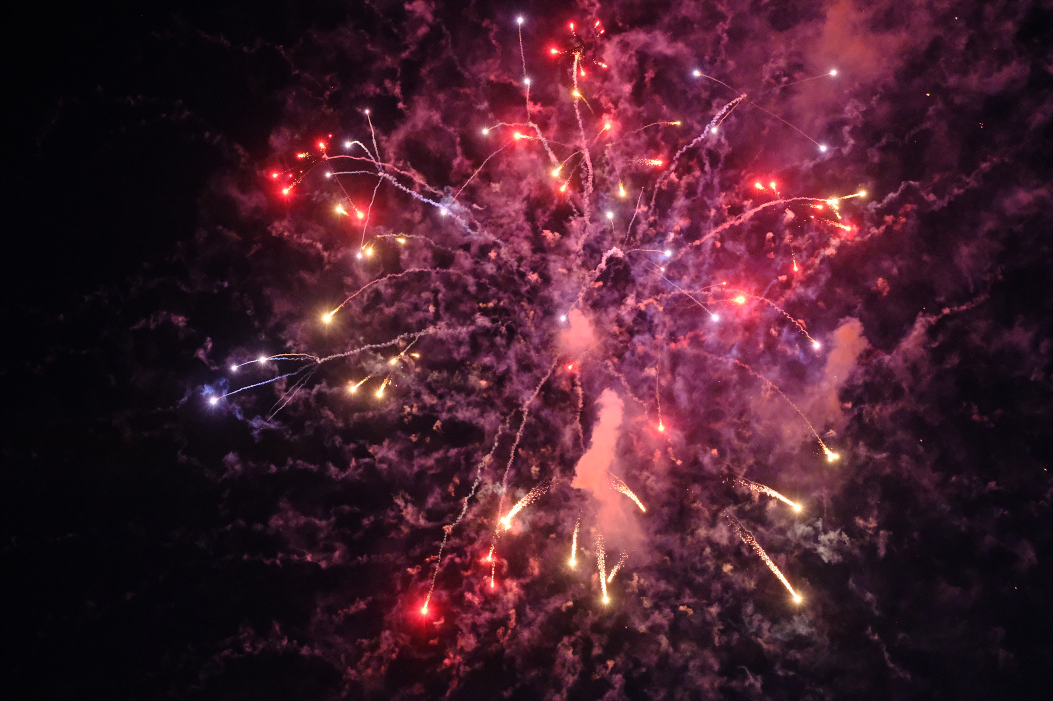 Close up of a pink and purple firework explosion